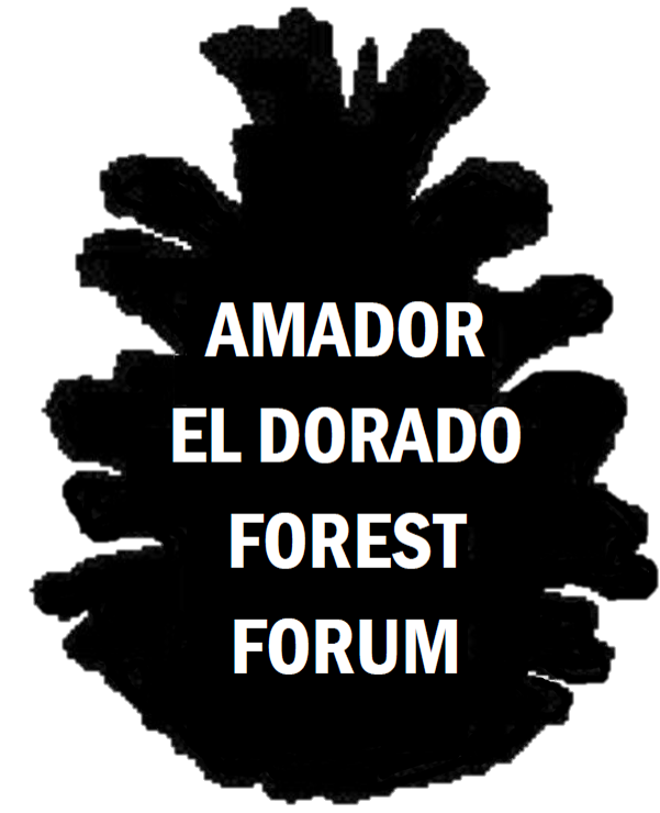 Forest Forum
